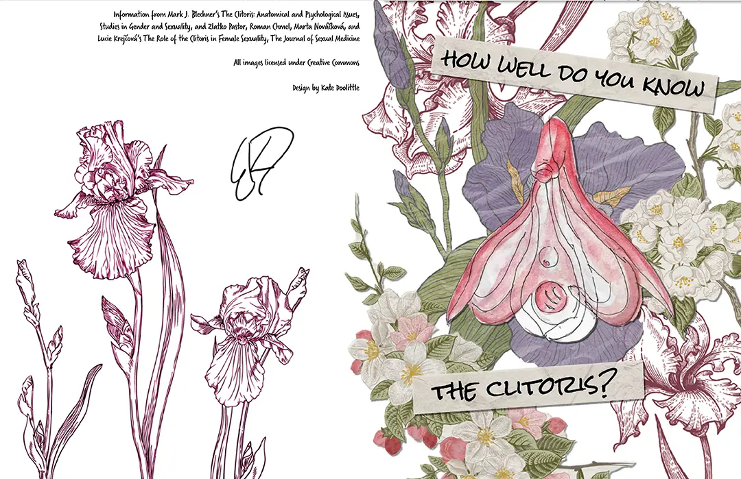 Front and back cover of the zine. There are collaged flowers in the background and 
                    a drawing of the clitoris in the center. The title of the zine is in a marker font on strips of tape. 
                    The flowers wrap around to the back where the sources are cited and it's signed.